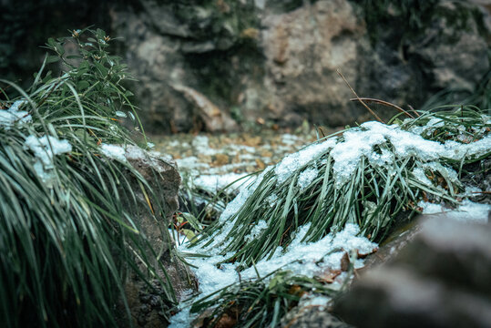 江南雪景