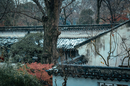 园林雪景