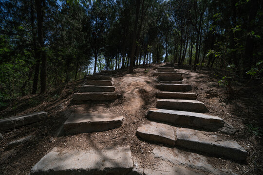 临清龙山公园