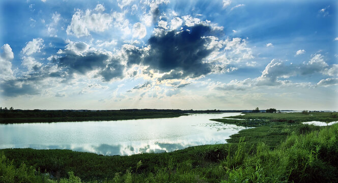 梁子湖夏日