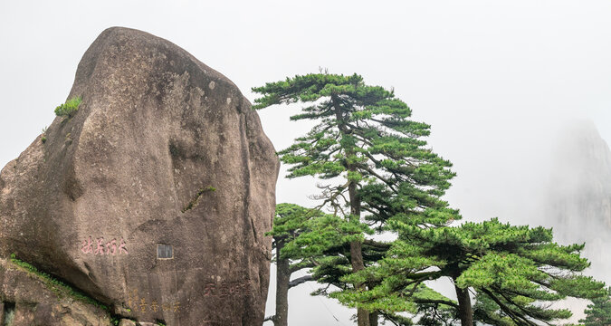 黄山奇松怪石