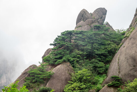 黄山奇松怪石