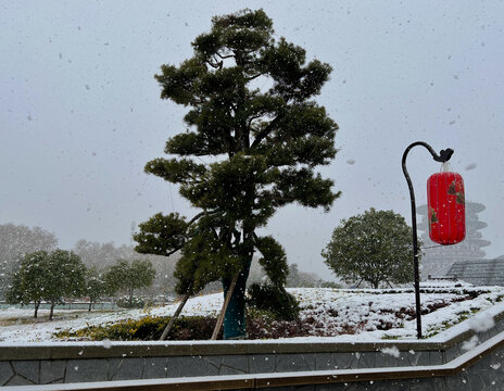 洛阳明堂天堂雪景