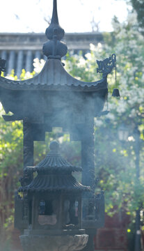 春天北京法源寺丁香花盛开