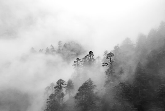 水墨山林