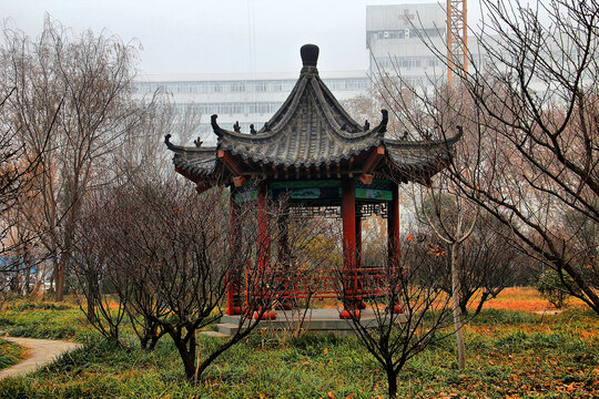 山东大学齐鲁医学部校园