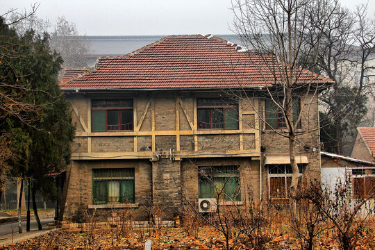 山东大学齐鲁医学院