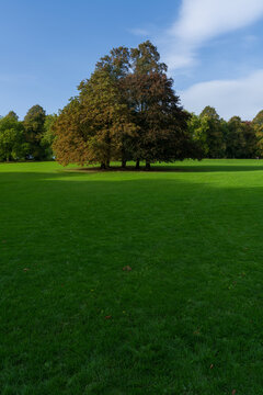 英国市民公园草坪