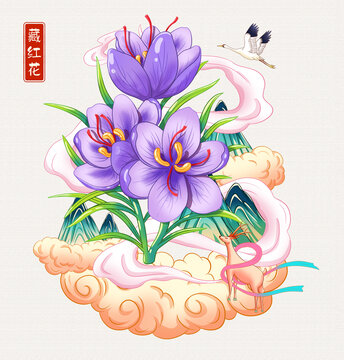 藏红花插画手绘