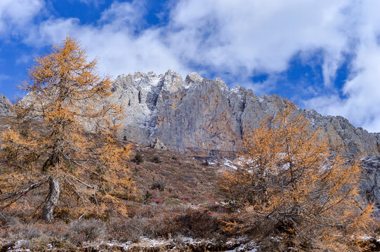 白马雪山