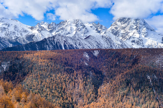 白马雪山