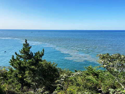 黄渤海分界线景区