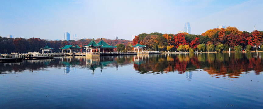 东湖梨园秋景