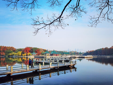 东湖梨园秋景