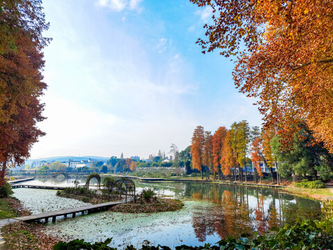 武汉磨山植物园荷花池秋景