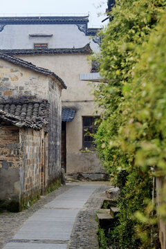 黟县碧山村