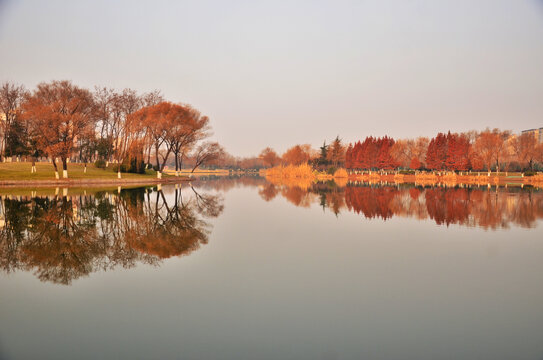 黄河公园