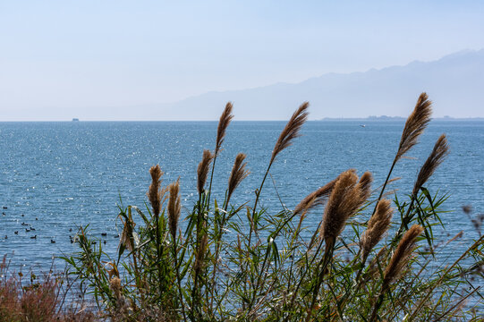 苍山洱海风光