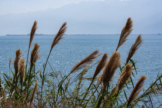 洱海风光