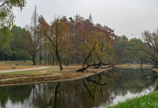 湿地公园