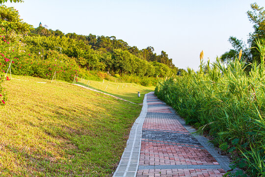 邕江沿岸