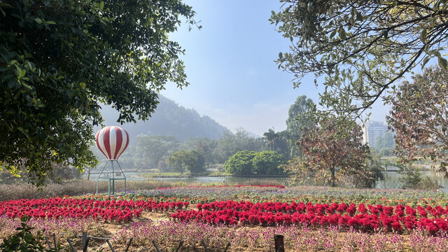 广州南沙蒲洲花园