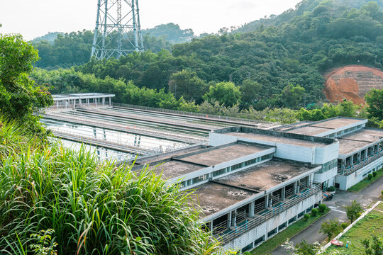 深圳淘金山绿道风景