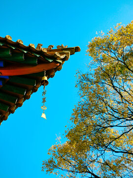 昆明圆通寺