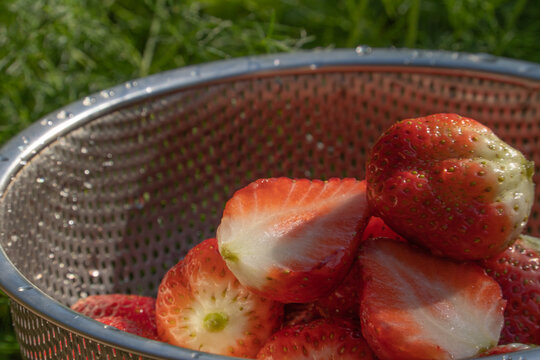 沥水篮里的草莓