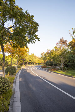 道路绿化