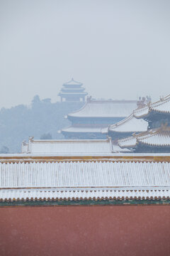 雪景