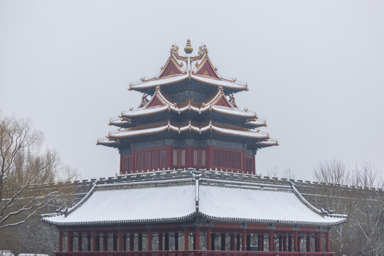 雪景