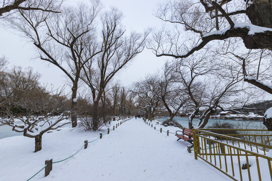 雪景