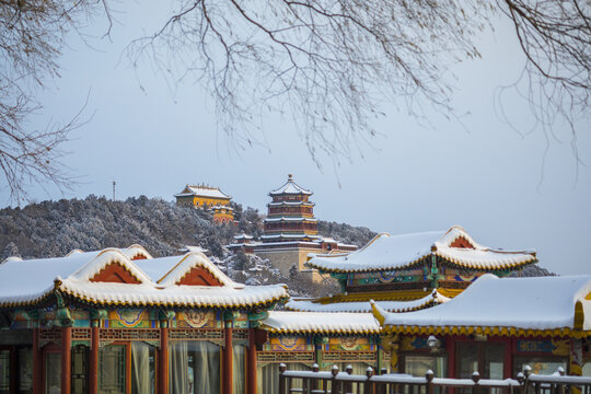 雪景