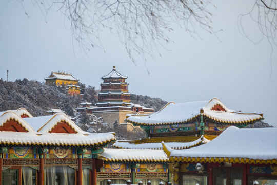 雪景