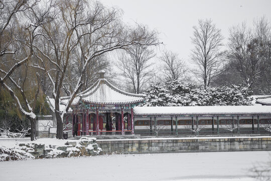 雪景