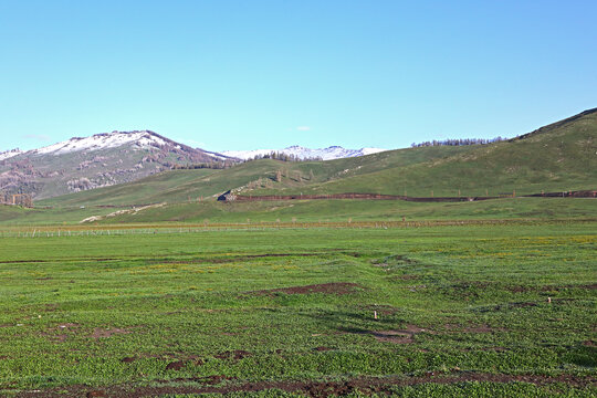 雪山下的草原