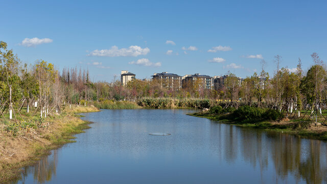 昆明永昌湿地风景