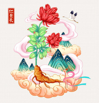 红景天插画手绘