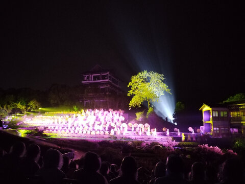 映像大红袍演出实景