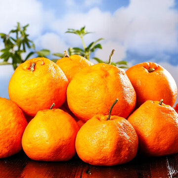 一堆丑橘