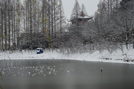 东门雪景