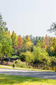 公园风景