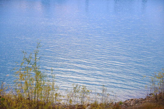 湖边风景画