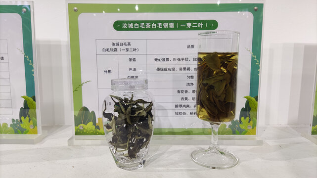 白毛茶