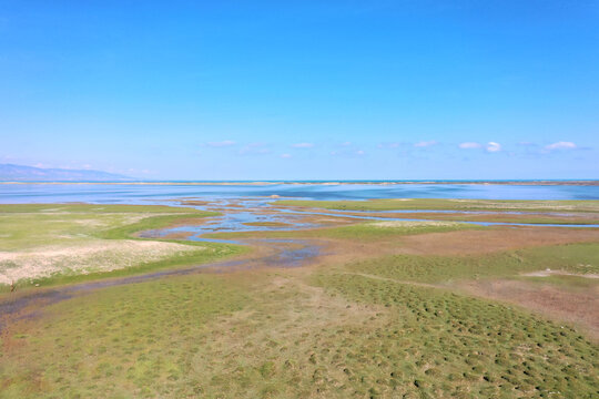 航拍青海湖湖东洱海湿地景观