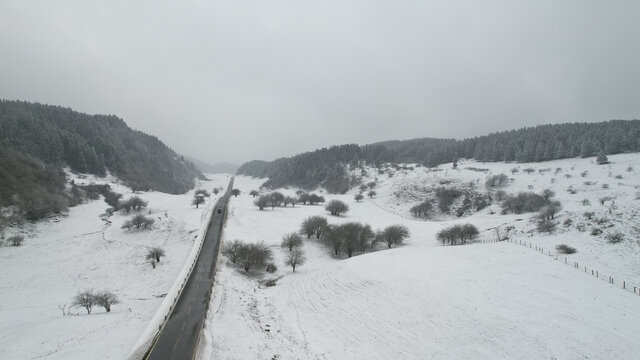 雪中美景