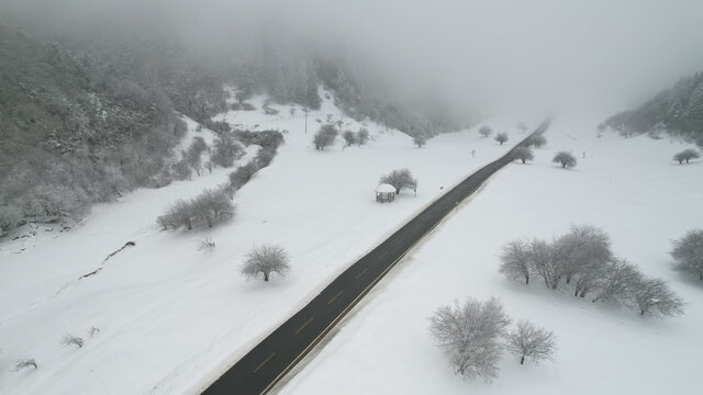 雪景中的公路