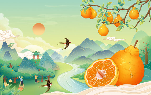 国风丑橘子手绘插画