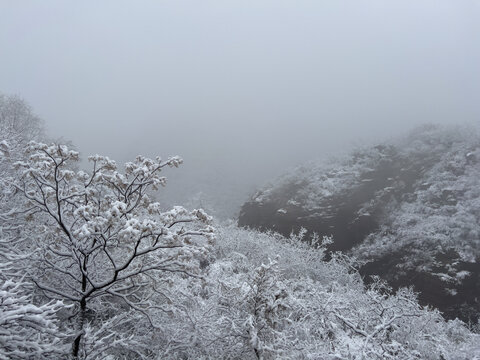 云台山雪景